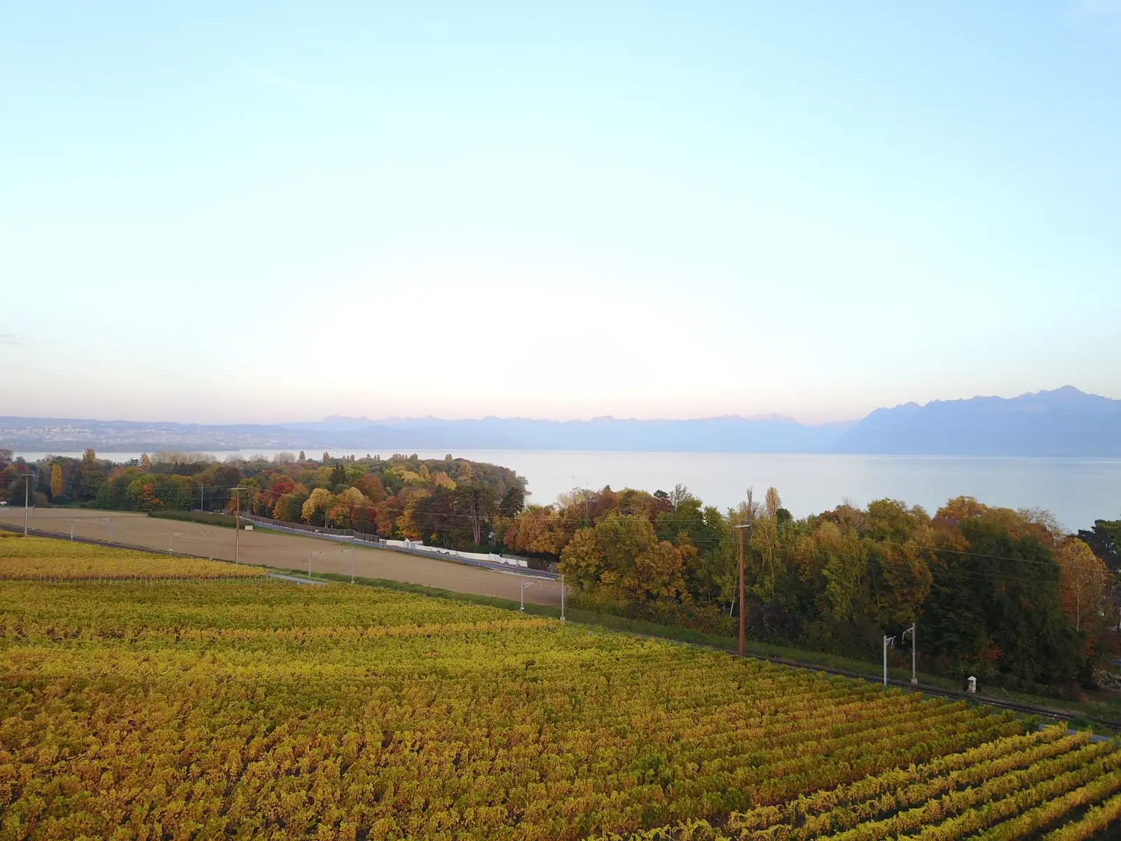 Domaine de Bon-Boccard - Lieu événementiel