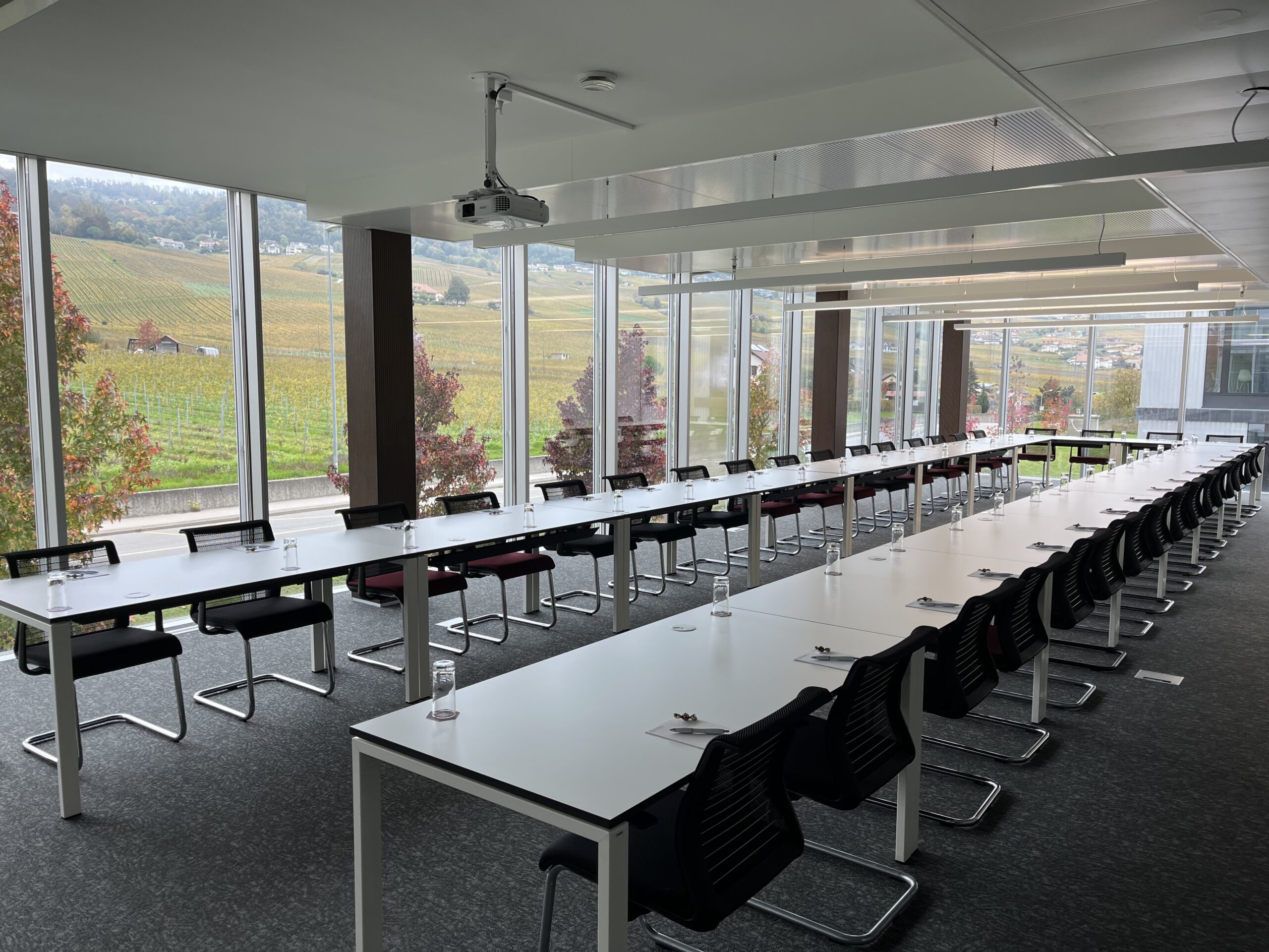 Salle De Seminaire Lausanne Ichibani Rolle