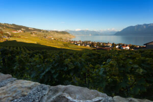 Lieu Pour Evenements Vevey Caveau Corto Grandvaux