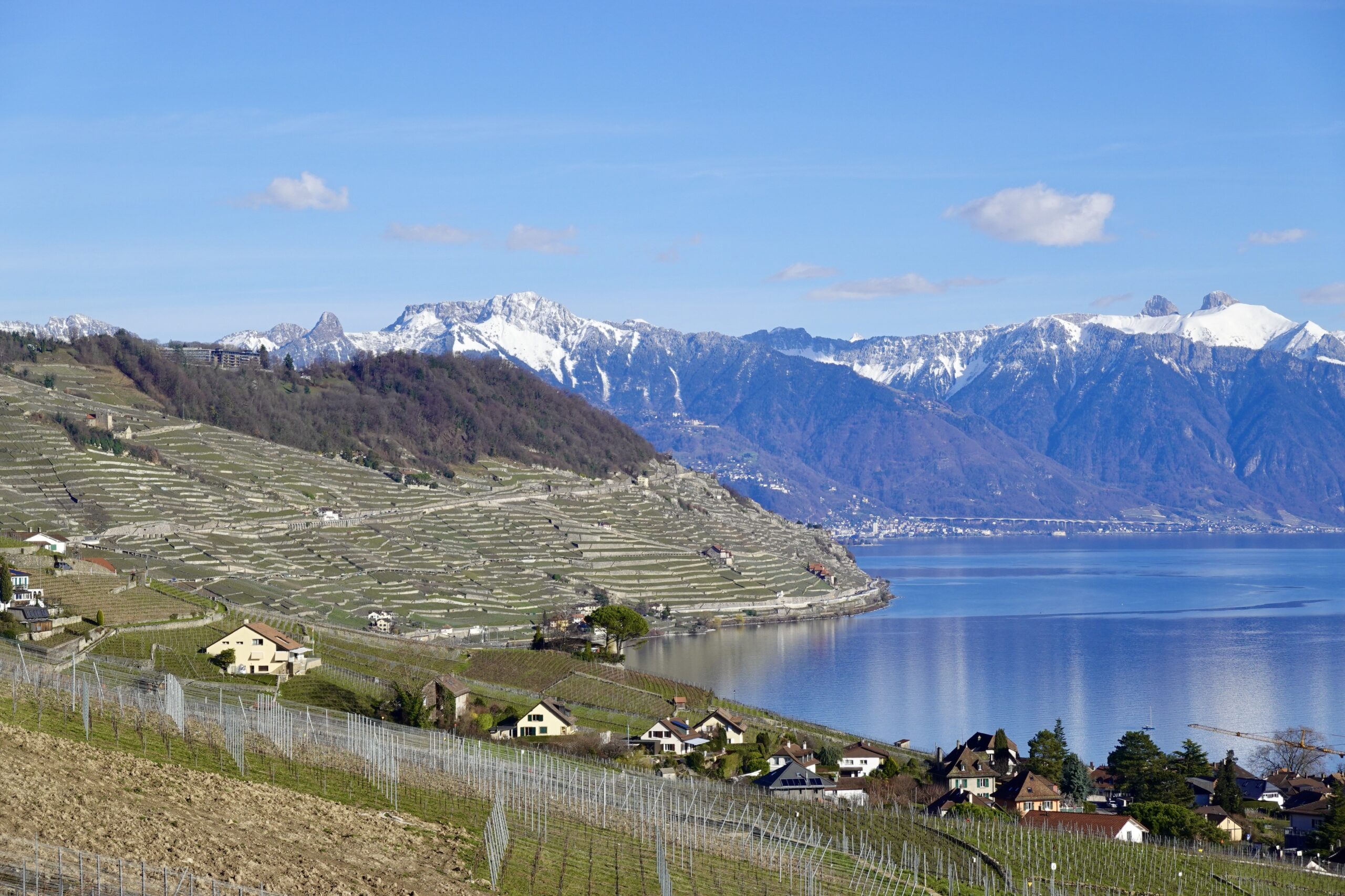 Team Building Lavaux Freres Brigands