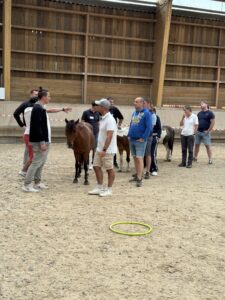 Team Building Avec Chevaux Quilin