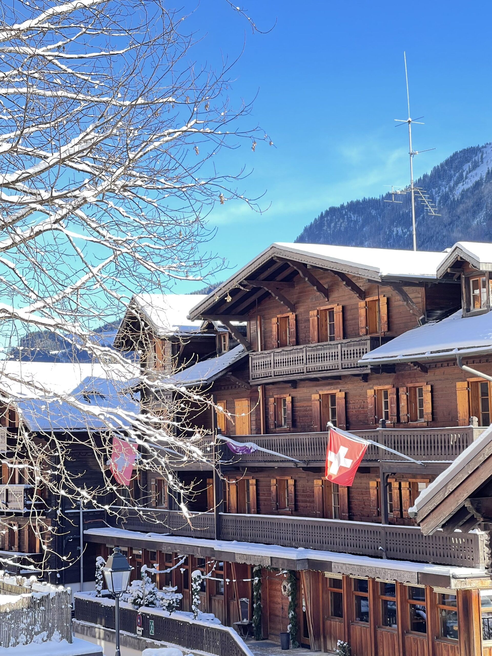 Séminaire à La Montagne Equipe Chalets De Champery